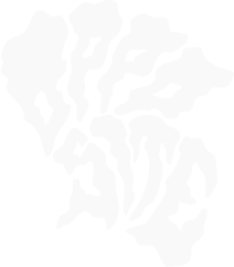 OppositeHands
